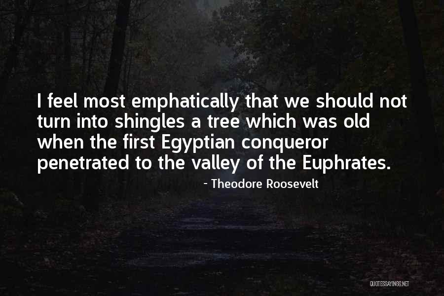 Giangiulio Park Quotes By Theodore Roosevelt Giangiulio Park Quotes By Theodore Roosevelt