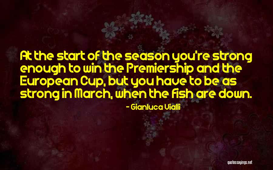 Gianluca Vialli Quotes 1740002