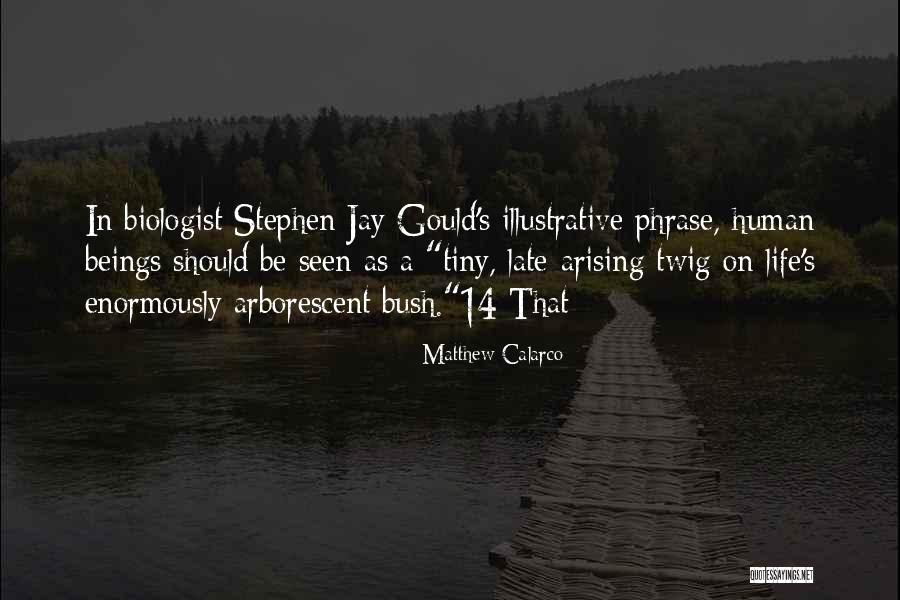 Giannakidis Quotes By Matthew Calarco Giannakidis Quotes By Matthew Calarco
