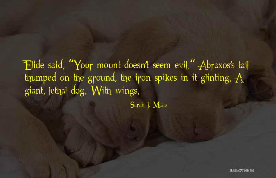 Giant Dog Quotes By Sarah J. Maas Giant Dog Quotes By Sarah J. Maas