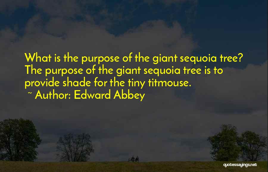 Giant Sequoia Quotes By Edward Abbey