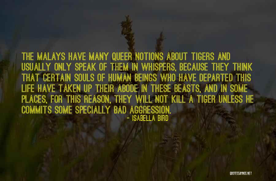 Giant Snake Quotes By Isabella Bird Giant Snake Quotes By Isabella Bird