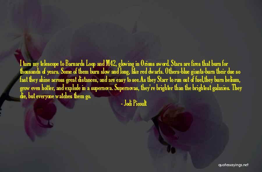 Giants The Dwarfs Quotes By Jodi Picoult Giants The Dwarfs Quotes By Jodi Picoult