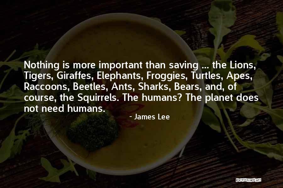 Giaoducatgttruonghoc Quotes By James Lee Giaoducatgttruonghoc Quotes By James Lee