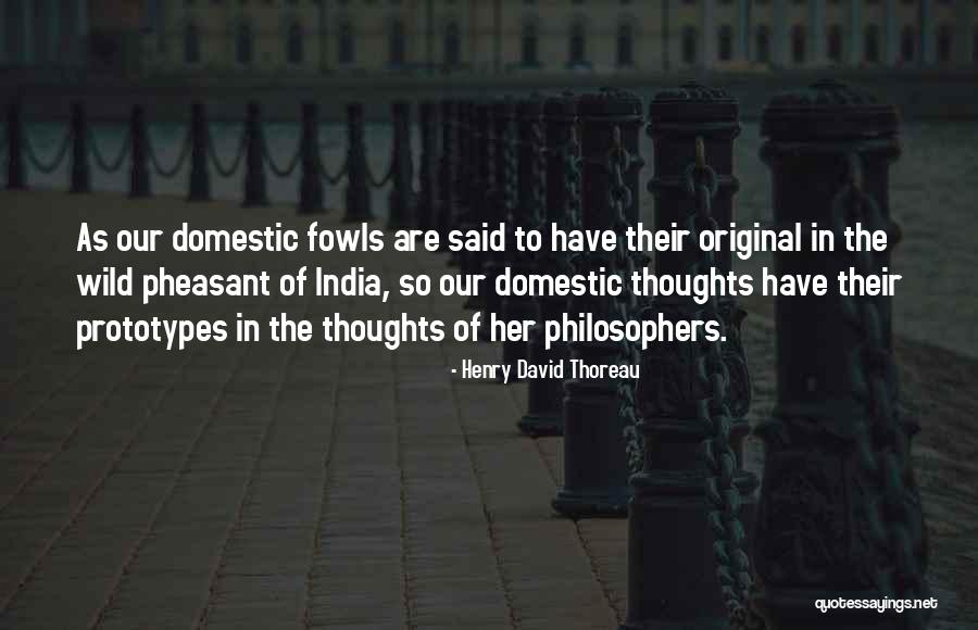Giarrusso Norton Quotes By Henry David Thoreau Giarrusso Norton Quotes By Henry David Thoreau