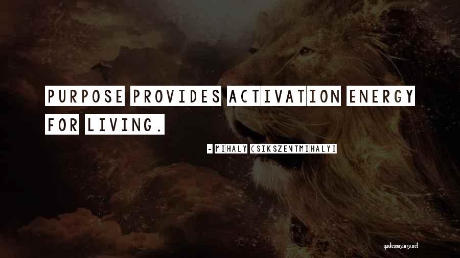 Gibbering Gemstone Quotes By Mihaly Csikszentmihalyi Gibbering Gemstone Quotes By Mihaly Csikszentmihalyi