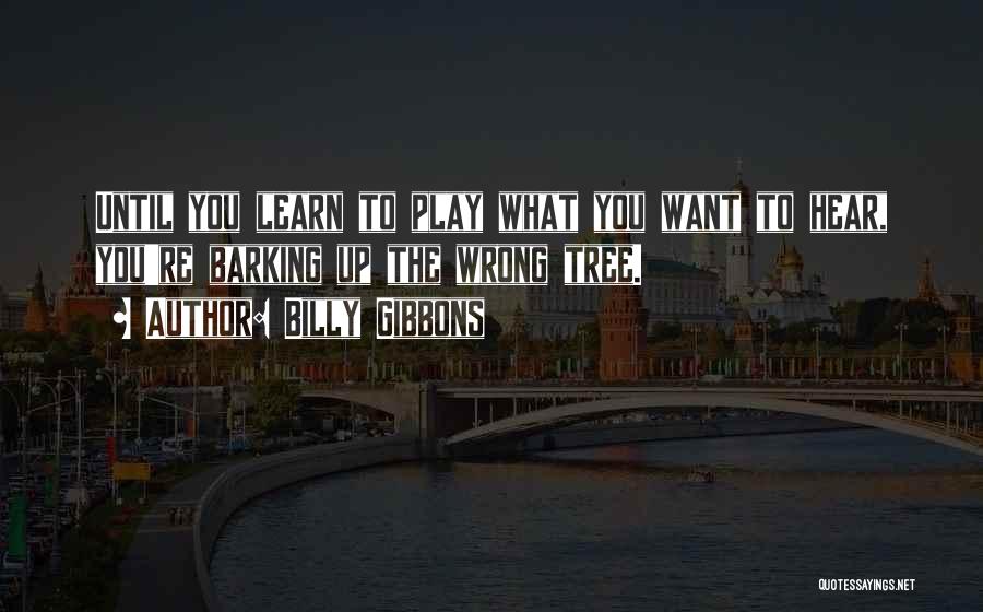 Gibbons Quotes By Billy Gibbons