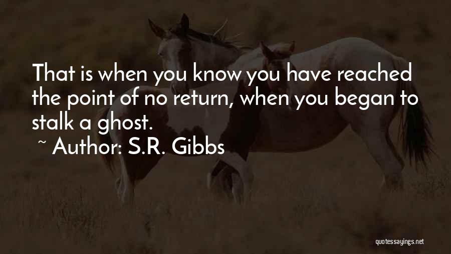 Gibbs Quotes By S.R. Gibbs