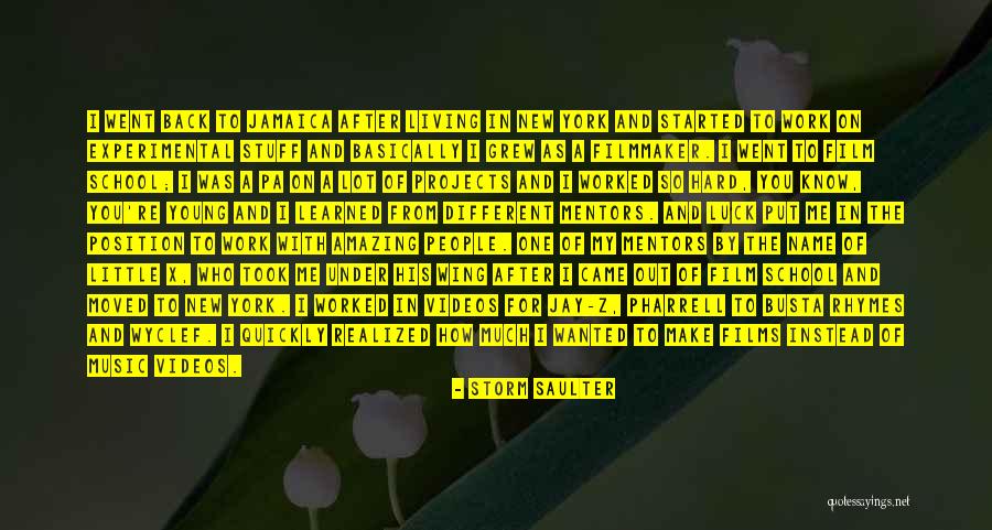 Giblets Ingredients Quotes By Storm Saulter Giblets Ingredients Quotes By Storm Saulter