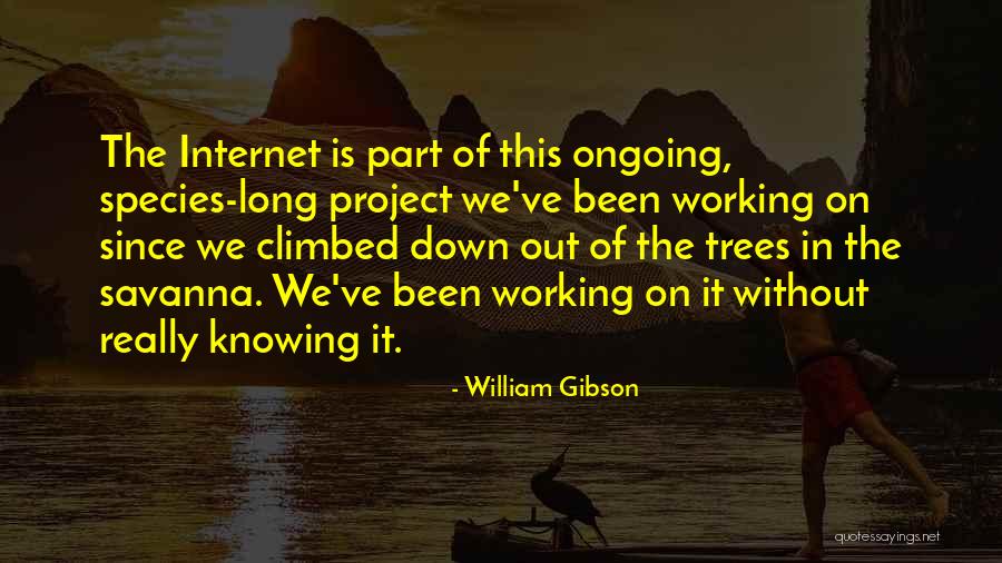 Gibson Quotes By William Gibson