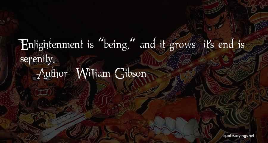 Gibson Quotes By William Gibson