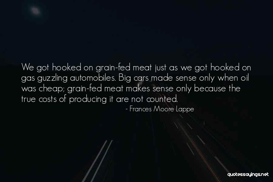 Giddy Up Horse Quotes By Frances Moore Lappe Giddy Up Horse Quotes By Frances Moore Lappe