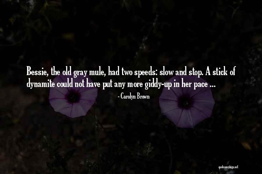 Giddy Up Quotes By Carolyn Brown Giddy Up Quotes By Carolyn Brown