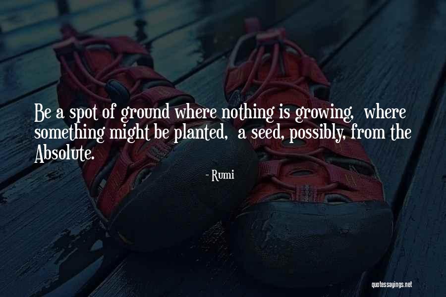 Gidiyorlar Quotes By Rumi Gidiyorlar Quotes By Rumi