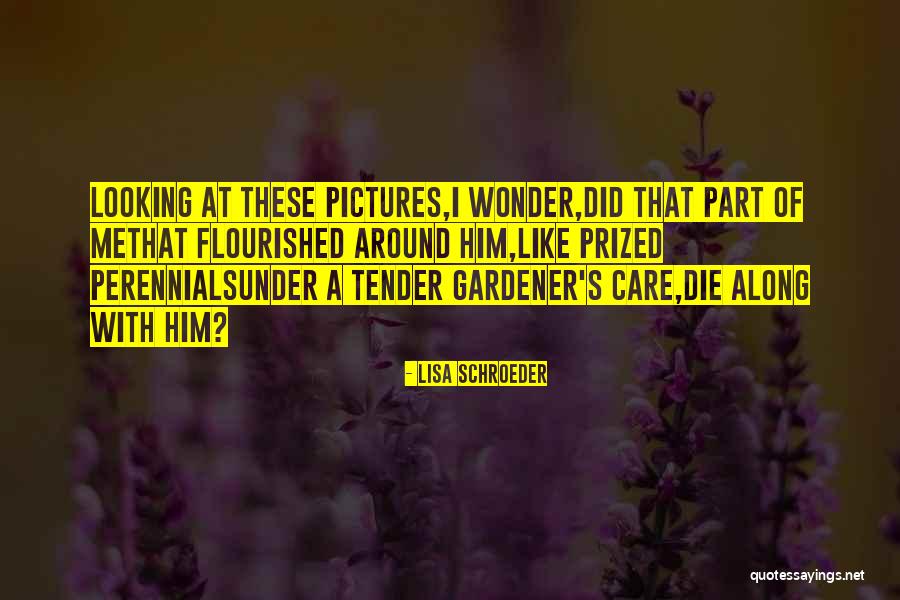 Gidley Quotes By Lisa Schroeder Gidley Quotes By Lisa Schroeder