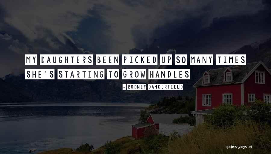 Giertsen Construction Quotes By Rodney Dangerfield Giertsen Construction Quotes By Rodney Dangerfield
