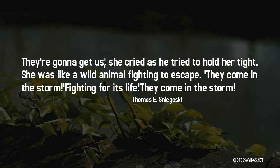 Giertz Colbert Quotes By Thomas E. Sniegoski Giertz Colbert Quotes By Thomas E. Sniegoski