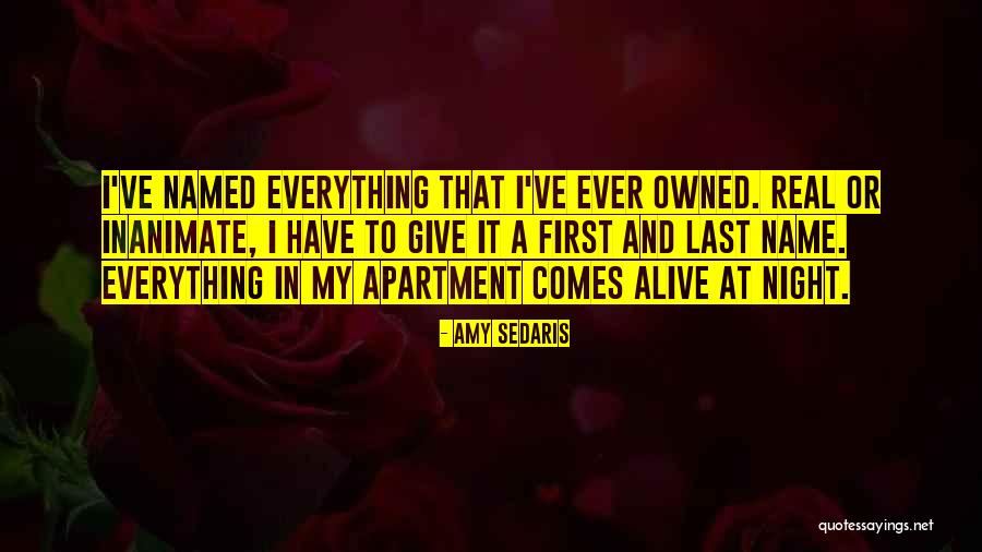 Gies College Quotes By Amy Sedaris Gies College Quotes By Amy Sedaris