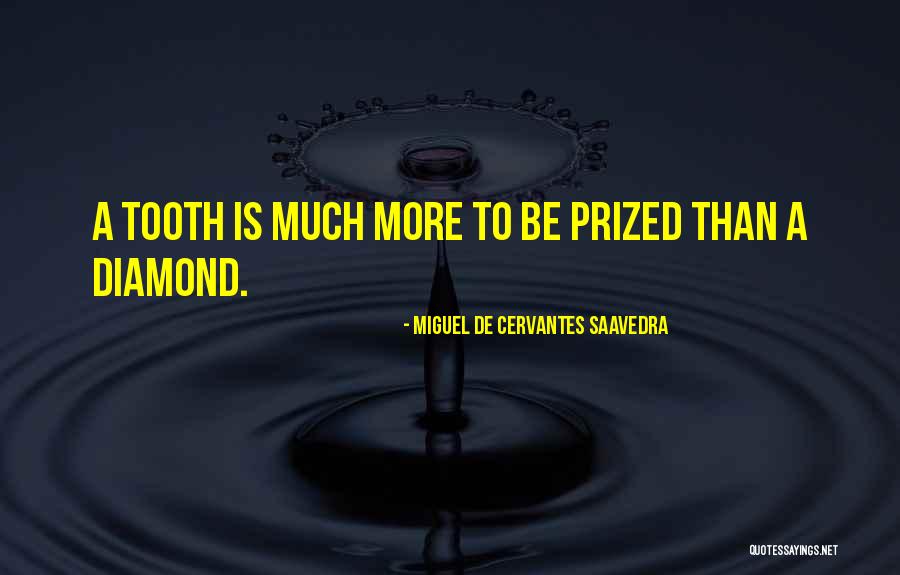 Gieseking Scarlatti Quotes By Miguel De Cervantes Saavedra Gieseking Scarlatti Quotes By Miguel De Cervantes Saavedra