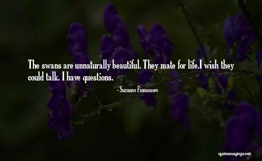 Gieseking Scarlatti Quotes By Suzanne Finnamore Gieseking Scarlatti Quotes By Suzanne Finnamore