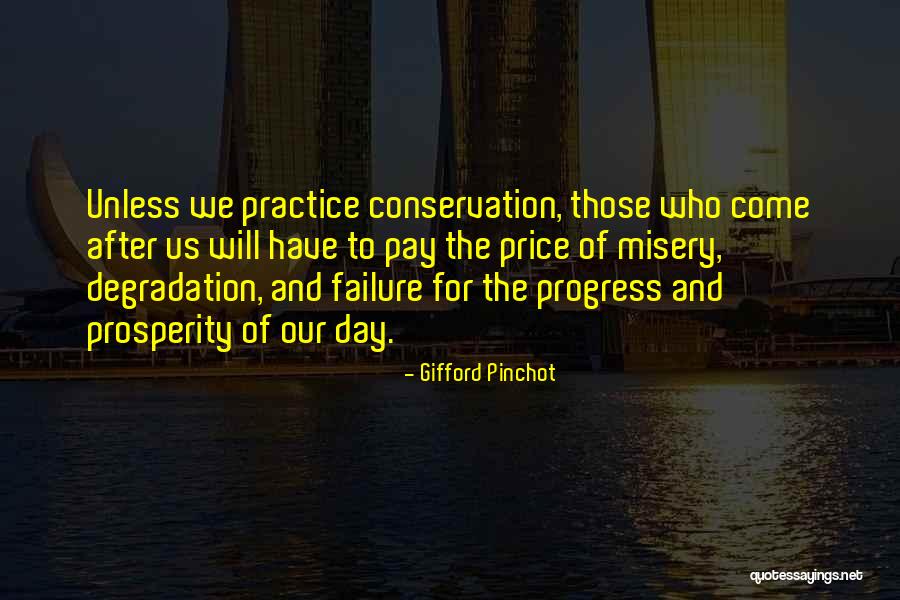 Gifford Pinchot Quotes 1255519