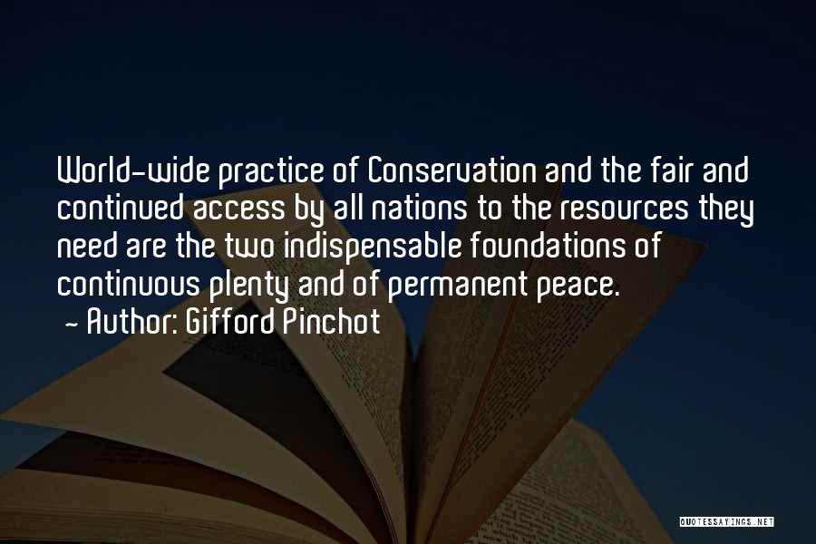 Gifford Pinchot Quotes 1881254