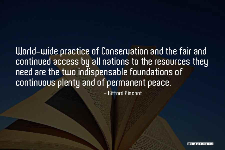 Gifford Pinchot Quotes 1881254