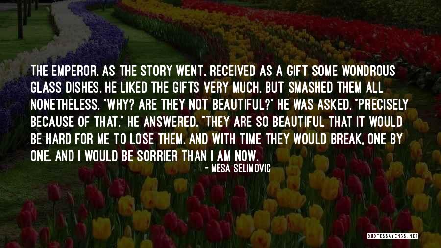 Gift Received Quotes By Mesa Selimovic Gift Received Quotes By Mesa Selimovic