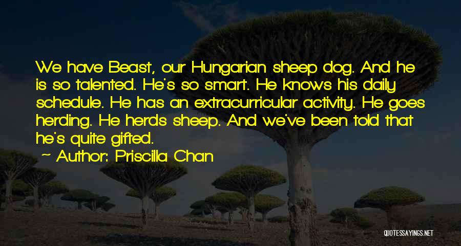 Gifted And Talented Quotes By Priscilla Chan