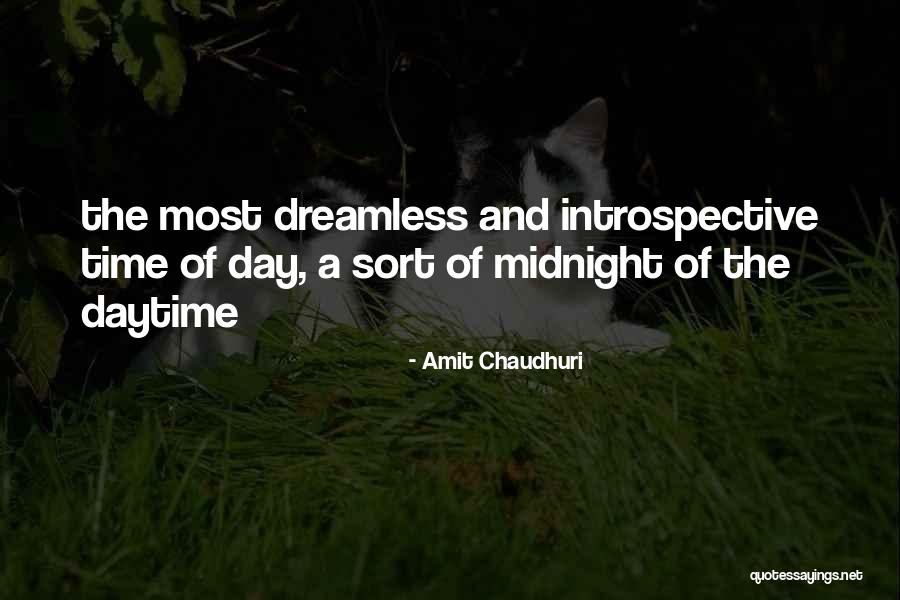 Giggies Bail Quotes By Amit Chaudhuri Giggies Bail Quotes By Amit Chaudhuri