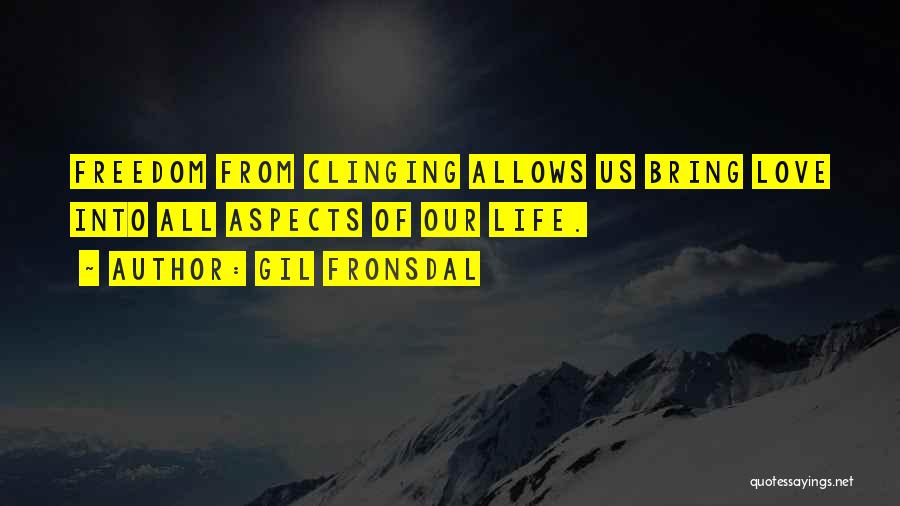 Gil Fronsdal Quotes 1801275
