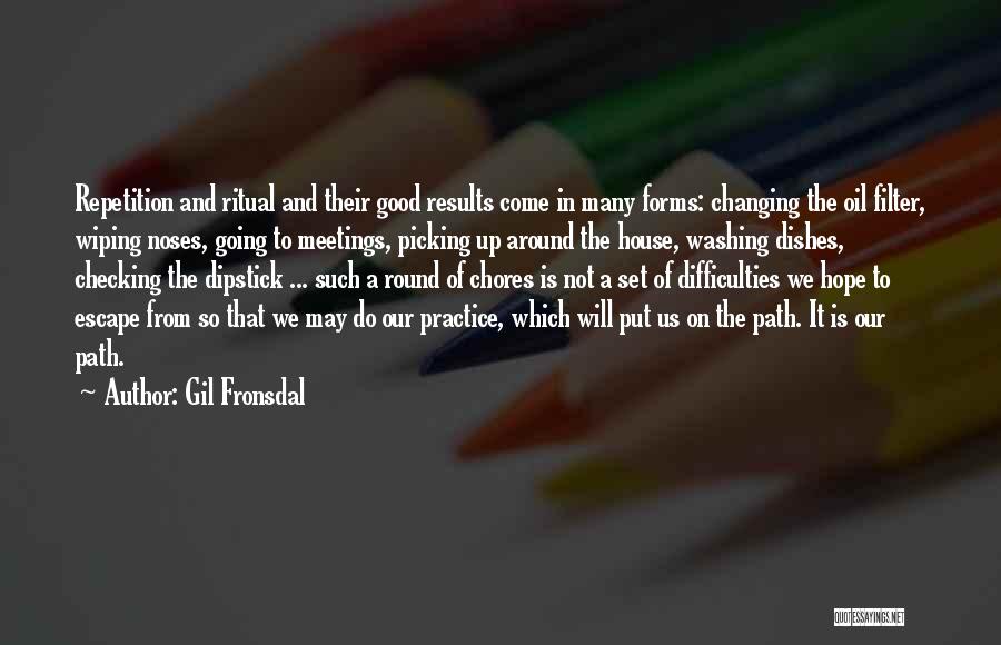 Gil Fronsdal Quotes 258314