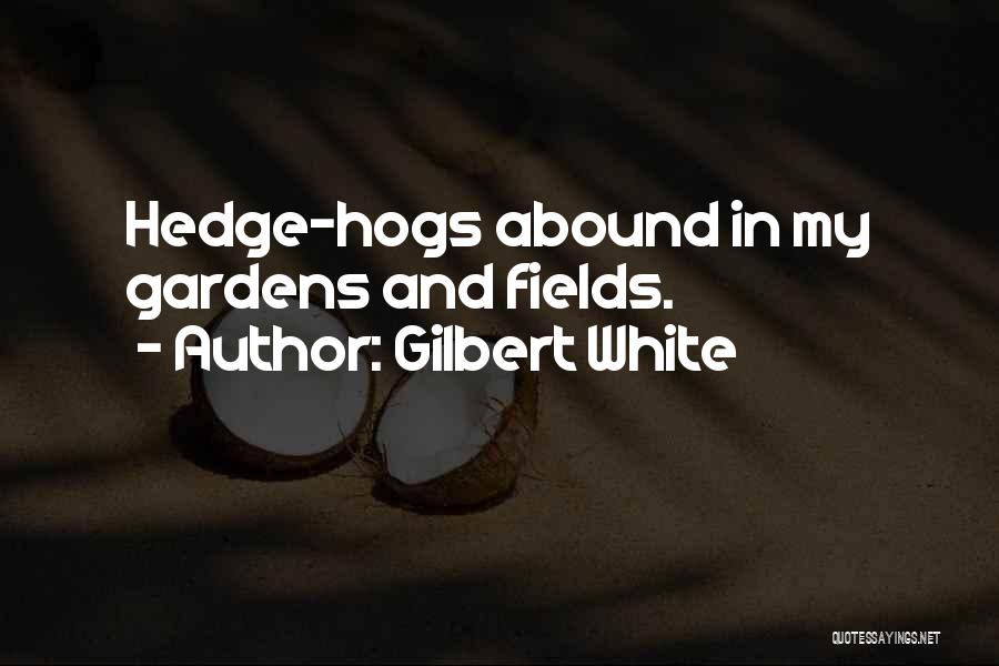 Gilbert White Quotes 567167