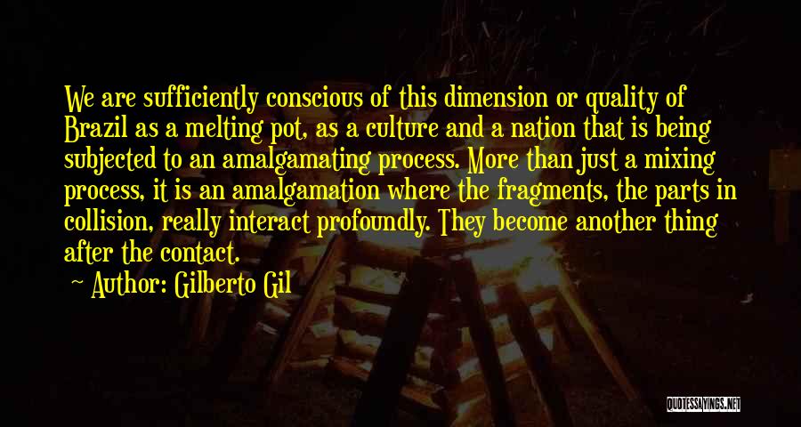 Gilberto Gil Quotes 523219