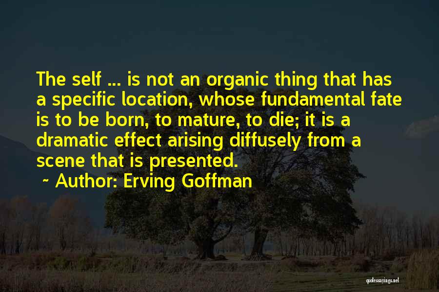 Gilleland Smith Quotes By Erving Goffman