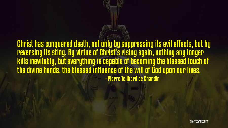 Gillshire Kennels Quotes By Pierre Teilhard De Chardin Gillshire Kennels Quotes By Pierre Teilhard De Chardin