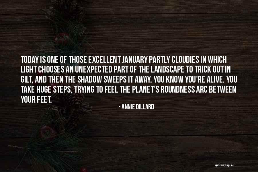 Gilt Quotes By Annie Dillard Gilt Quotes By Annie Dillard