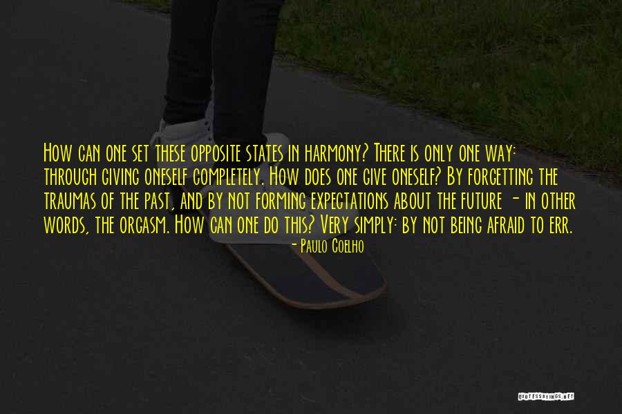 Gimli Costume Quotes By Paulo Coelho