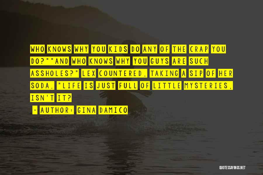 Gina Damico Quotes 1078608