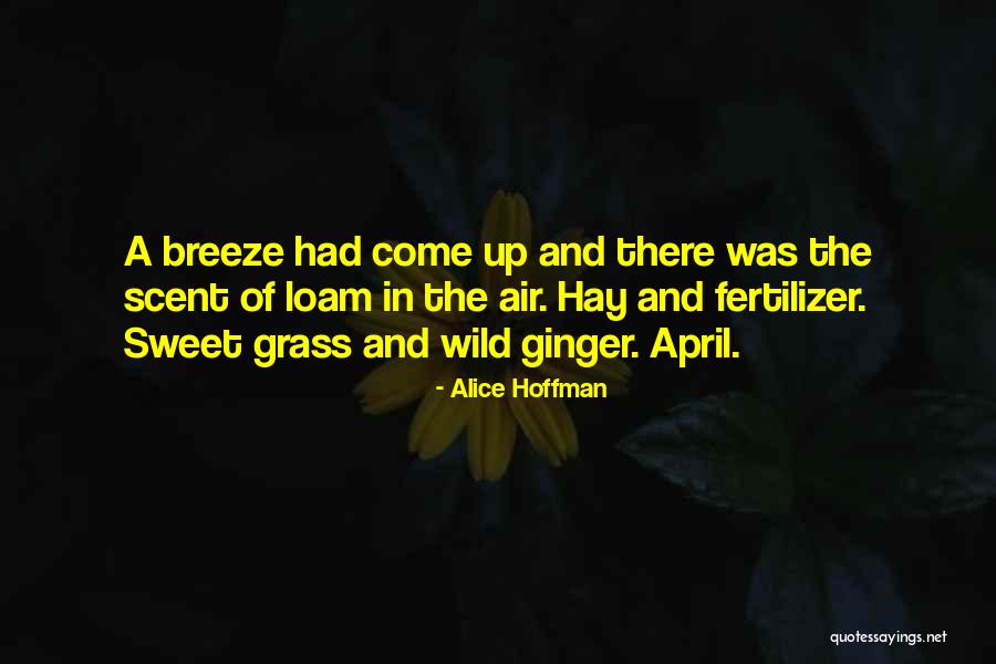 Ginger Cow Quotes By Alice Hoffman Ginger Cow Quotes By Alice Hoffman
