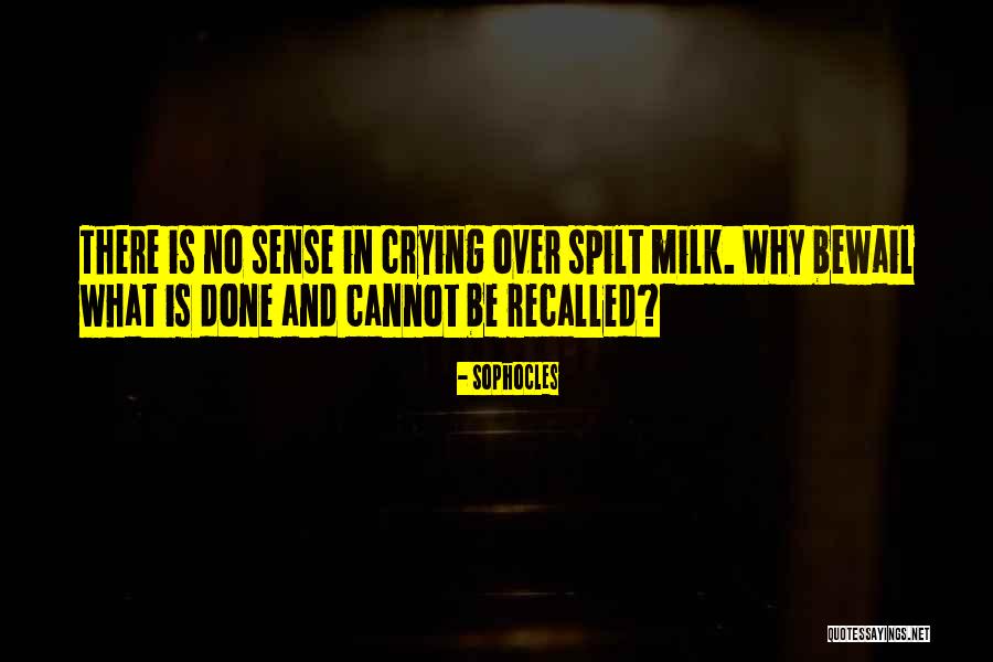 Gingrich Romney Quotes By Sophocles Gingrich Romney Quotes By Sophocles