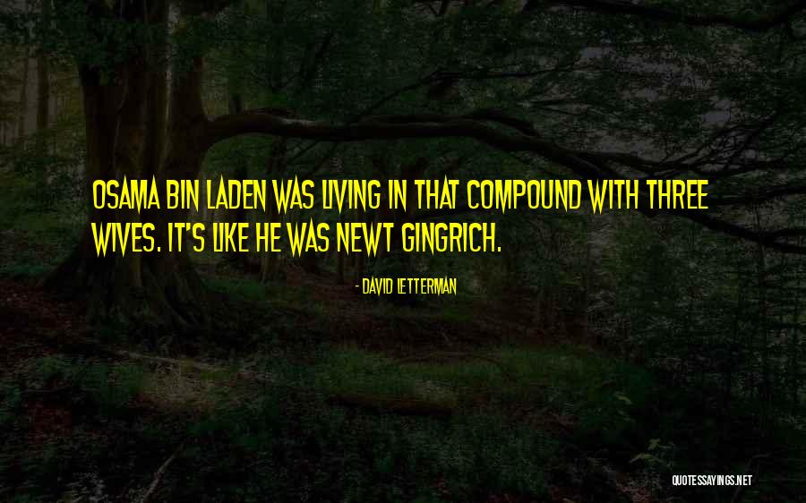 Gingrich Wife Quotes By David Letterman Gingrich Wife Quotes By David Letterman