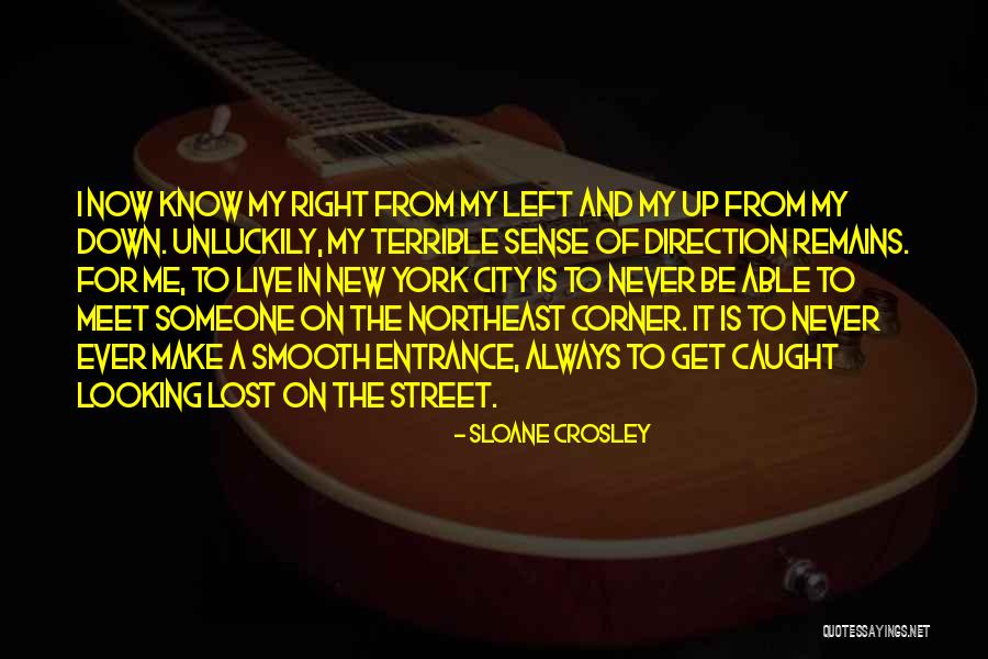 Ginks Garage Quotes By Sloane Crosley Ginks Garage Quotes By Sloane Crosley