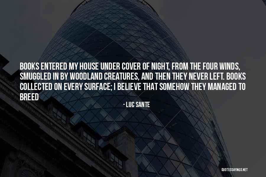 Ginsberg In Hospital Quotes By Luc Sante Ginsberg In Hospital Quotes By Luc Sante