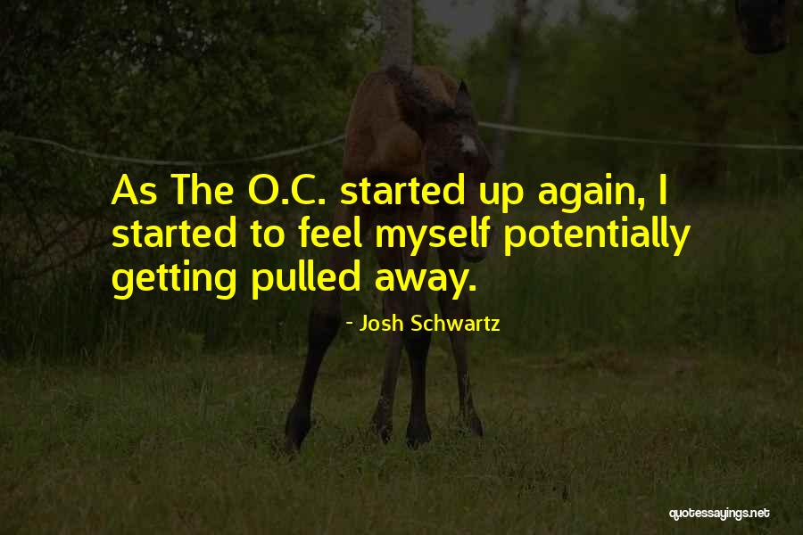 Giocare Superenalotto Quotes By Josh Schwartz Giocare Superenalotto Quotes By Josh Schwartz