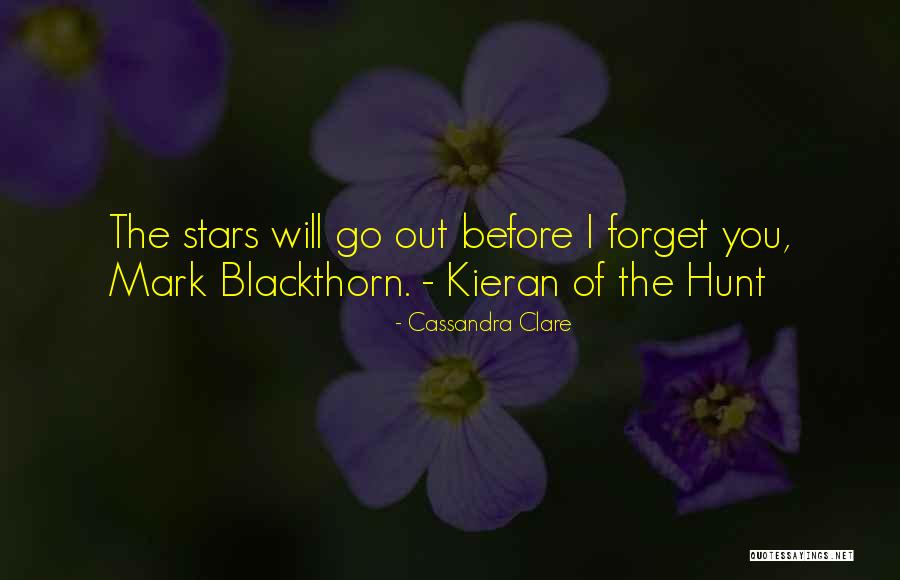 Giocatore Di Quotes By Cassandra Clare Giocatore Di Quotes By Cassandra Clare