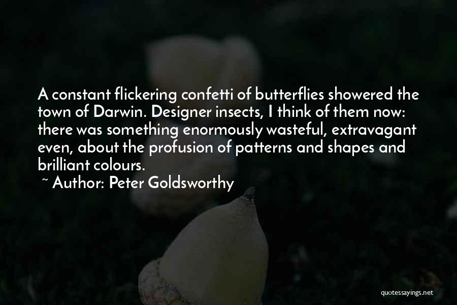 Giora Chamizer Quotes By Peter Goldsworthy