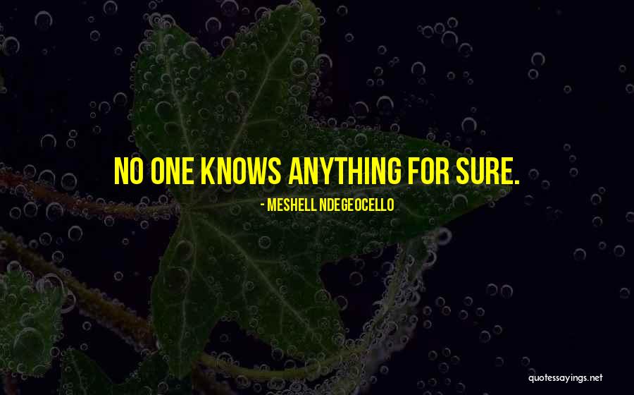 Giorni In Inglese Quotes By Meshell Ndegeocello Giorni In Inglese Quotes By Meshell Ndegeocello
