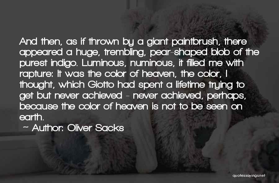 Giotto Quotes By Oliver Sacks