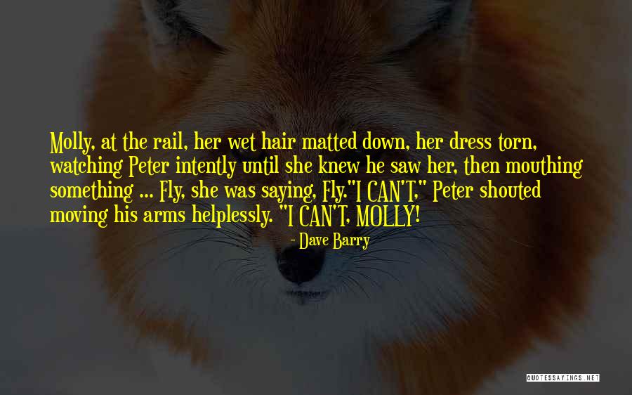 Giovanni Antonio Canal Quotes By Dave Barry Giovanni Antonio Canal Quotes By Dave Barry